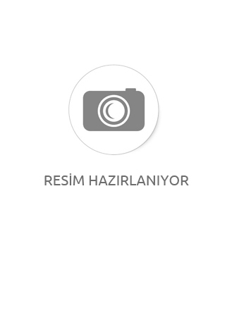 İrde Yayınları AYT 15 Türk Dili ve Edebiyatı Denemesi